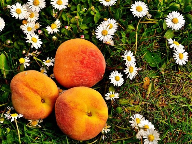 Снимка: pexels