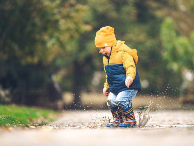 Снимка: istock