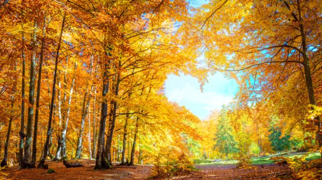 Тест: Какво е подготвила съдбата за вас през октомври? Снимка: istock