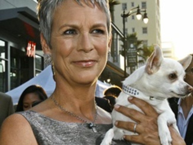 Коралови устни и черни ресници за красиви зрели жени