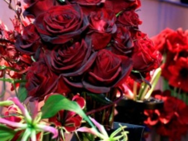 Кои цветя са подходящи за украса на сватбата?