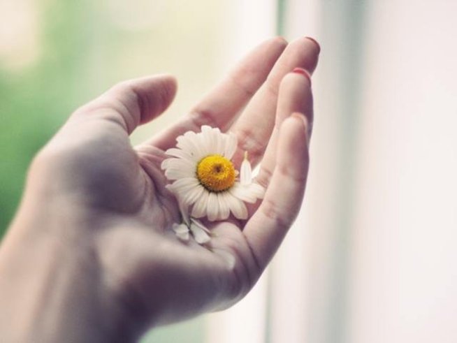 Снимка: pexels