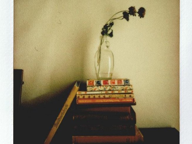 Снимка: pexels