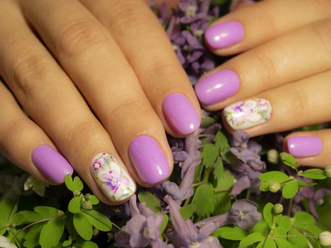 Снимка: istock