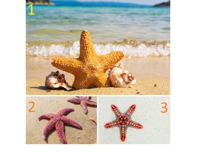 Снимки: Pixabay