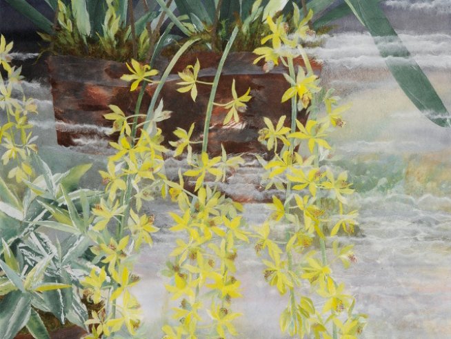 Изложба от японски картини, лекуващи сърцата на хората