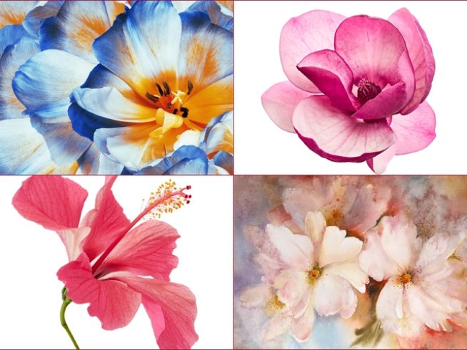 Снимки: istock