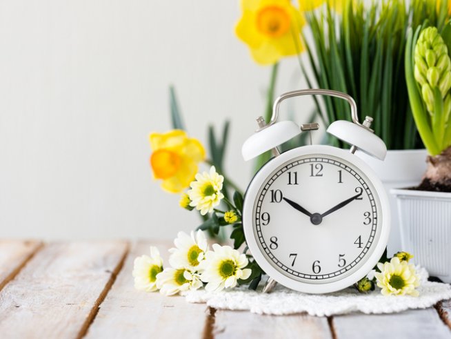 Снимка: istock