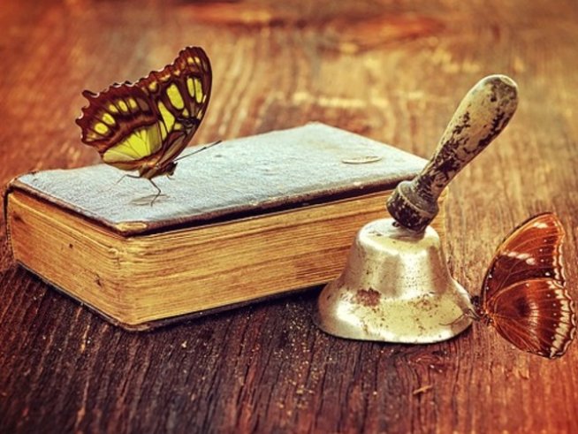 Снимка: pixabay