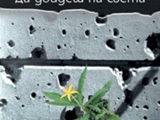 Книга за войната в Босна става филм с Пенелопе Круз