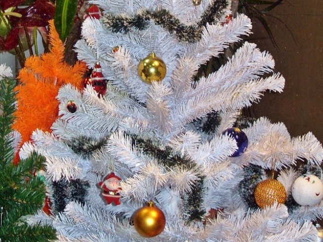 Снимка: Ивет Лолова