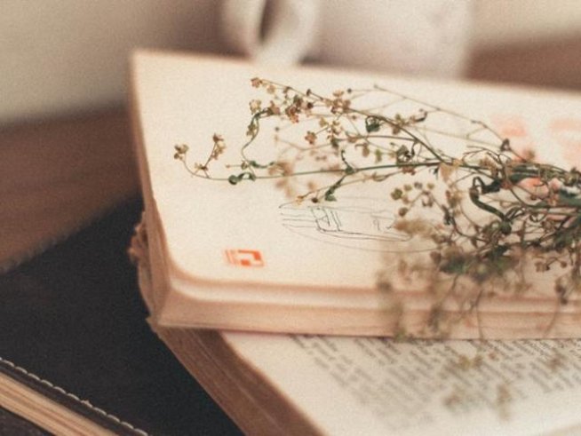 Снимка: pexels