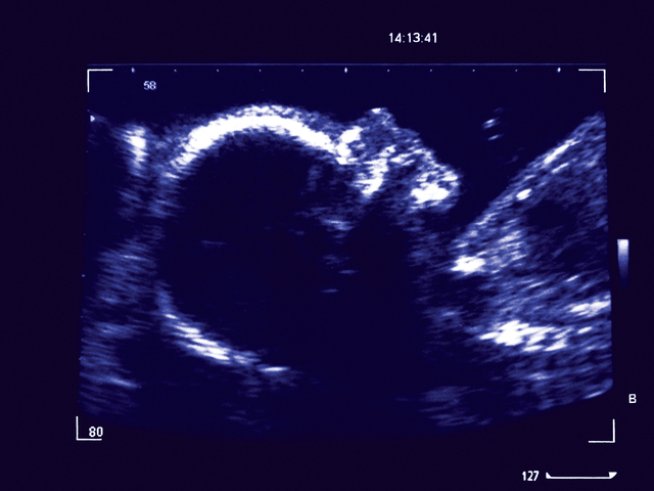 Снимка: istockphoto.com