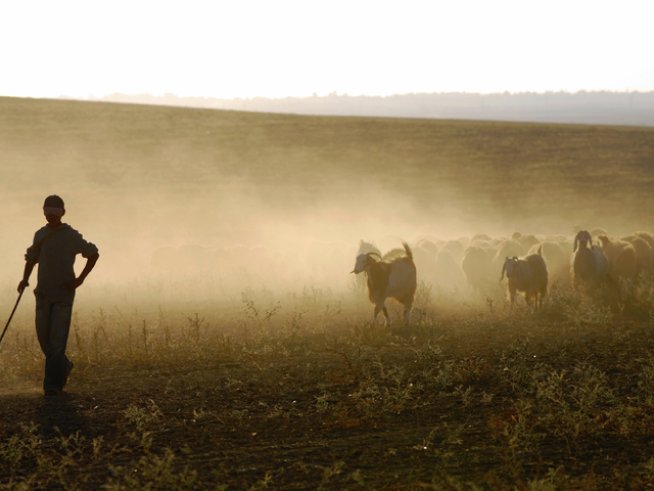 Снимка: istock