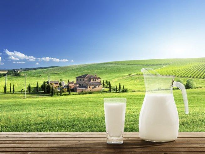 Снимка: iStock