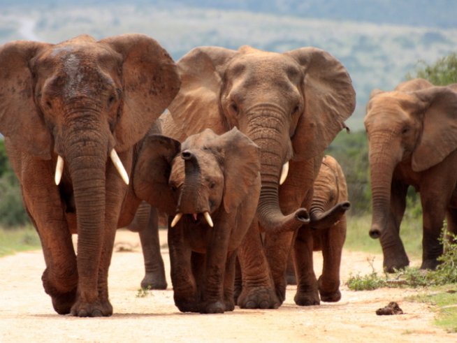 снимка: istock