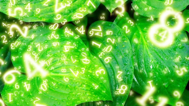 Нумерологична прогноза за 22 април.Снимка: istock