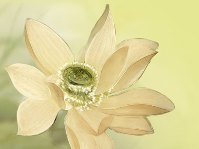 Истории, които укрепват духа и стоплят сърцето