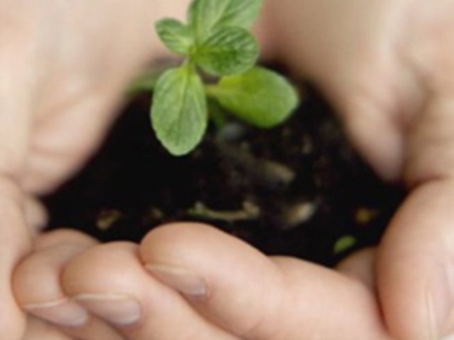 Екосватбите са на мода