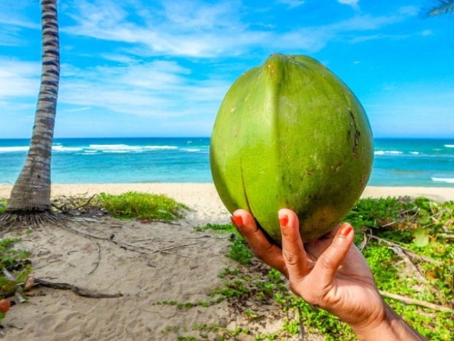 Снимка:pixabay