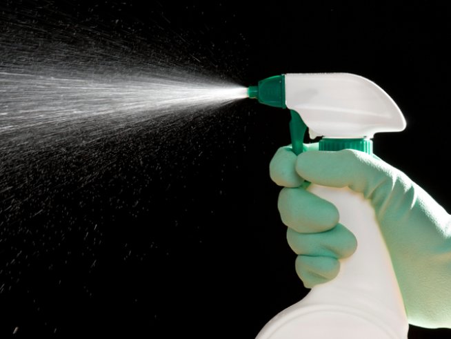 Снимка: iStock