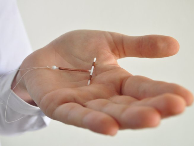 Снимка: iStock