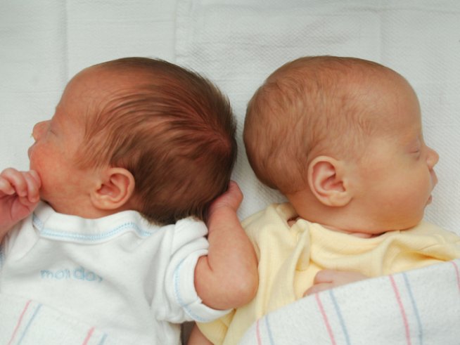 Снимка: iStock