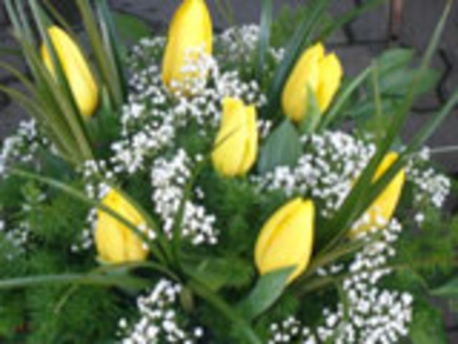 Цветята - израз на любовта