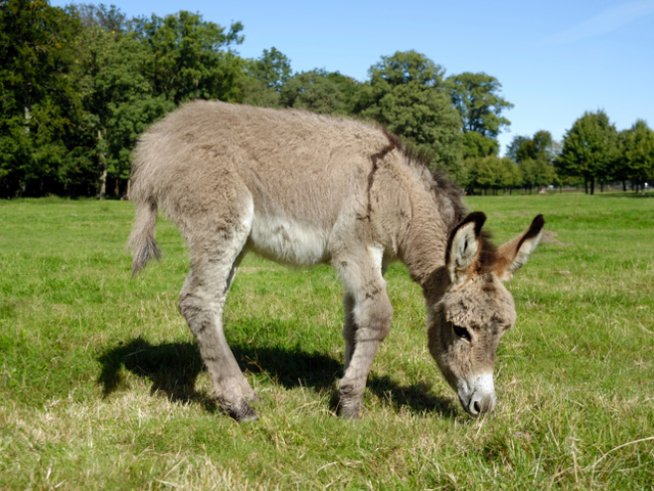 Снимка: thinkstock