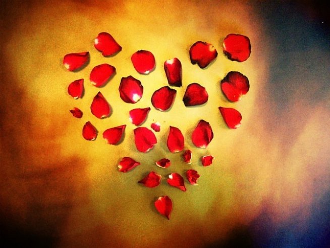 Снимка: molif.com