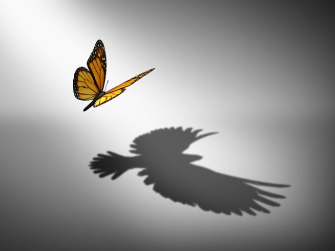 Снимка: istock