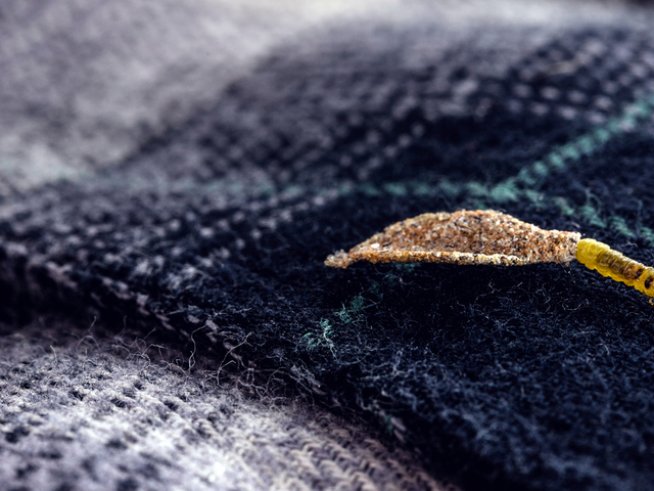 Снимка: istock