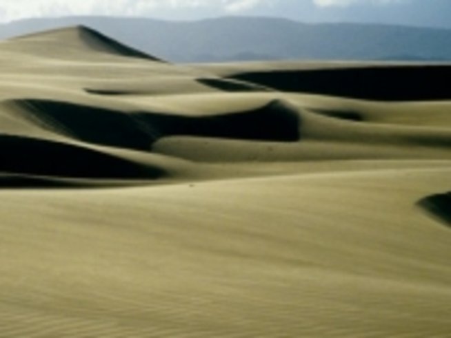 15 май - Международен ден на климата  