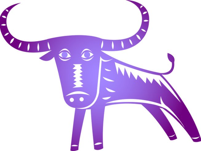 Снимка: thinkstock