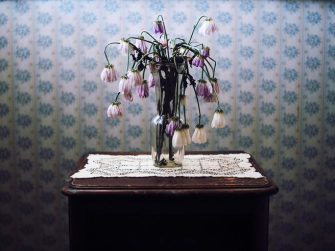 Снимка: istock