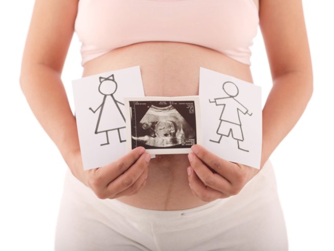 Снимка: iStock