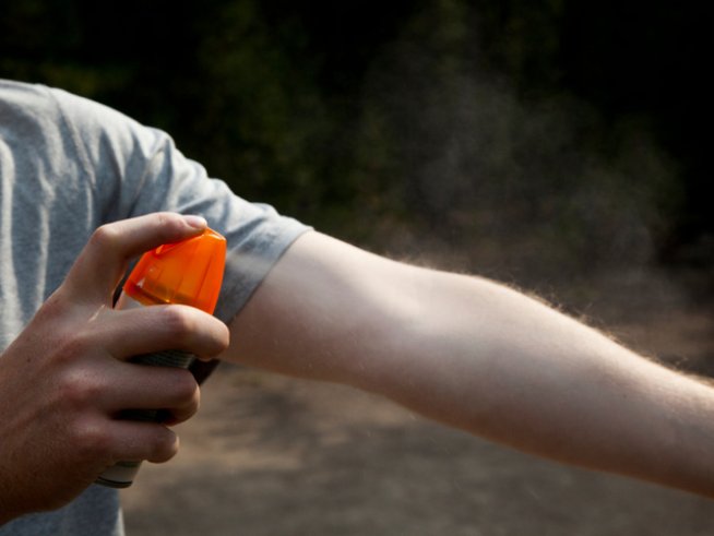 Снимка: istock