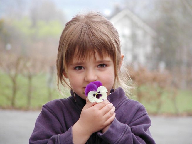 Снимка: sosbg.org