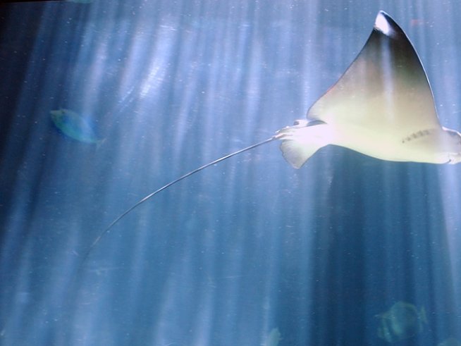 Снимка: Reuters