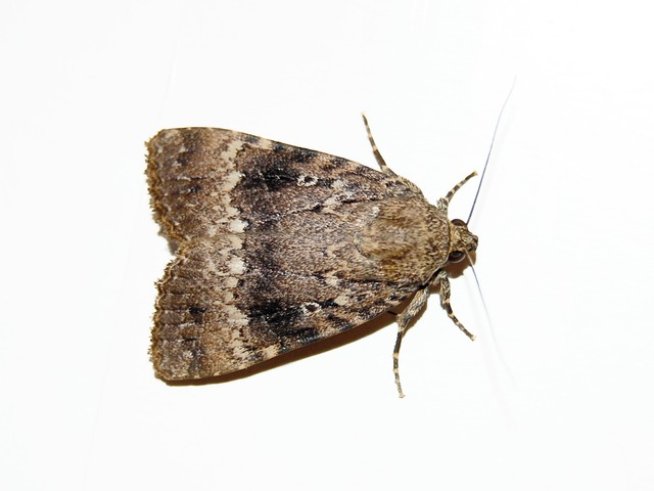 Снимки: Sxc.hu