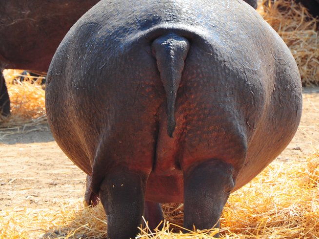 Снимка: Thinkstock