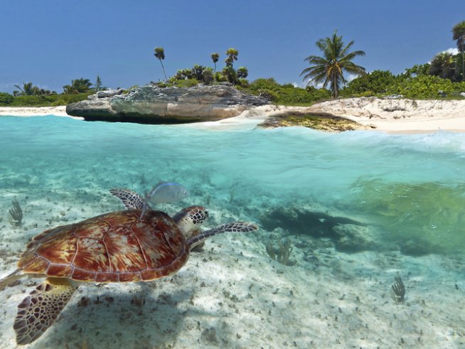 Снимка: thinkstock