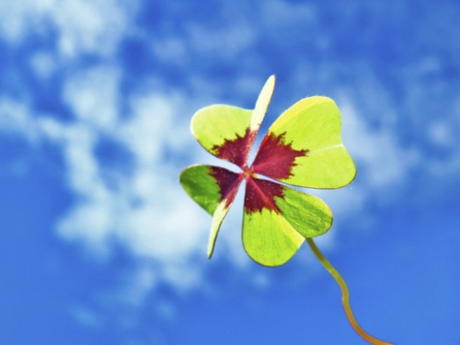 Снимка: thinkstock