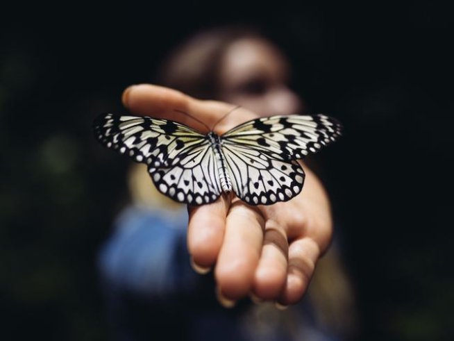 Снимка: unsplash