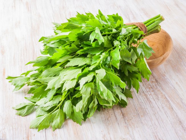 Снимка: istock