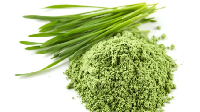 За какво е полезна пшеничната трева на прах?.Снимка: istock