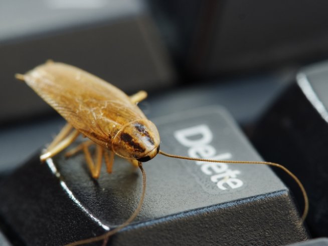 Снимка: istock