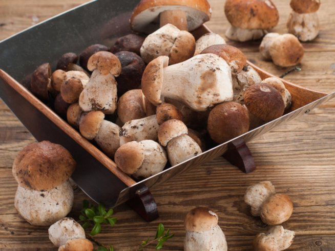 Снимка: iStock