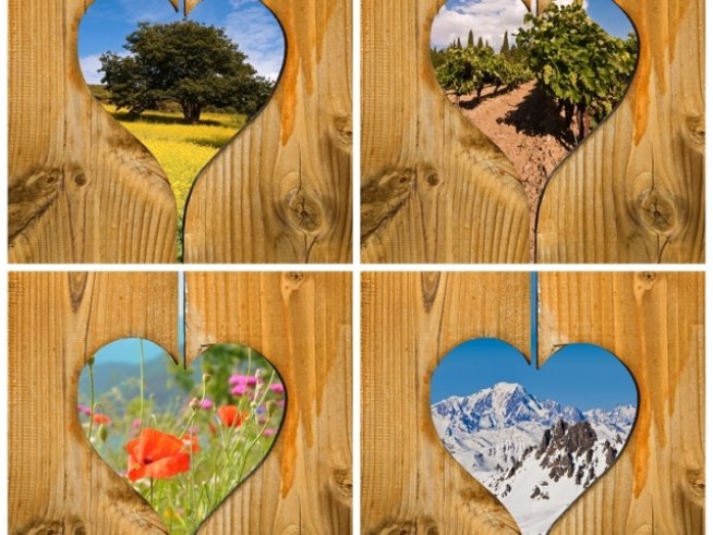 Снимка: iStock