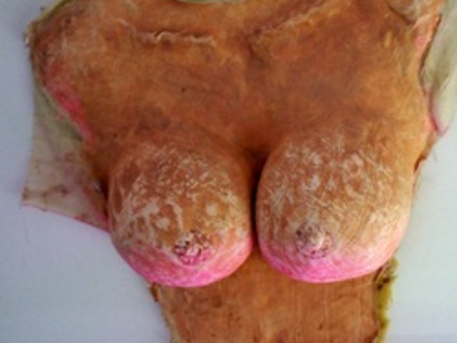 Фалшив бюст за върховен секс